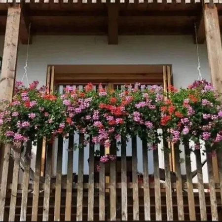 Daire La Casa Di Suri Calalzo di Cadore