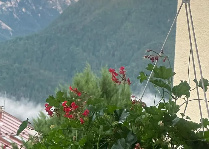 Apartamento La Casa Di Suri Calalzo di Cadore